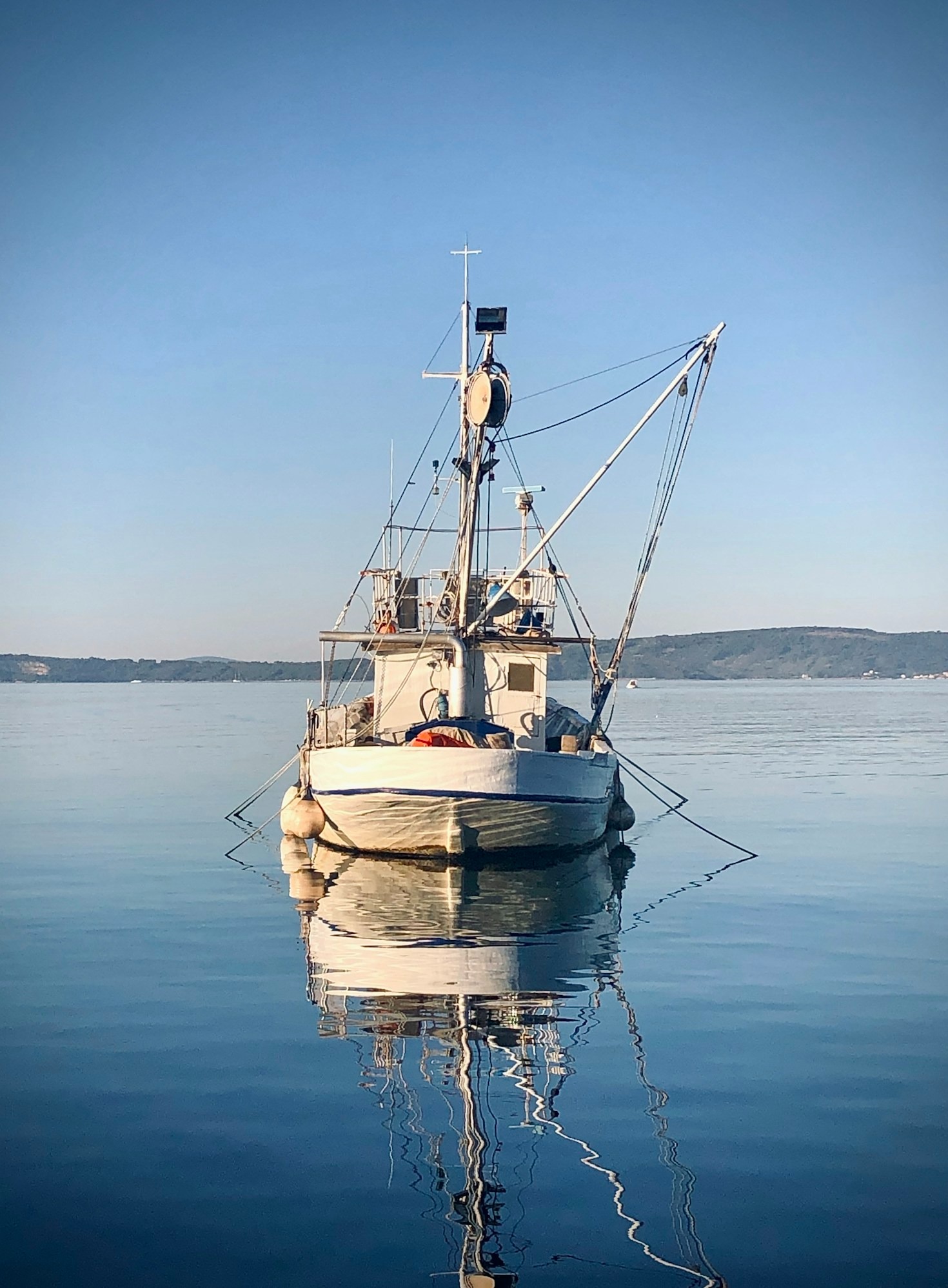 The Journey of Fresh Fish to Global Tables