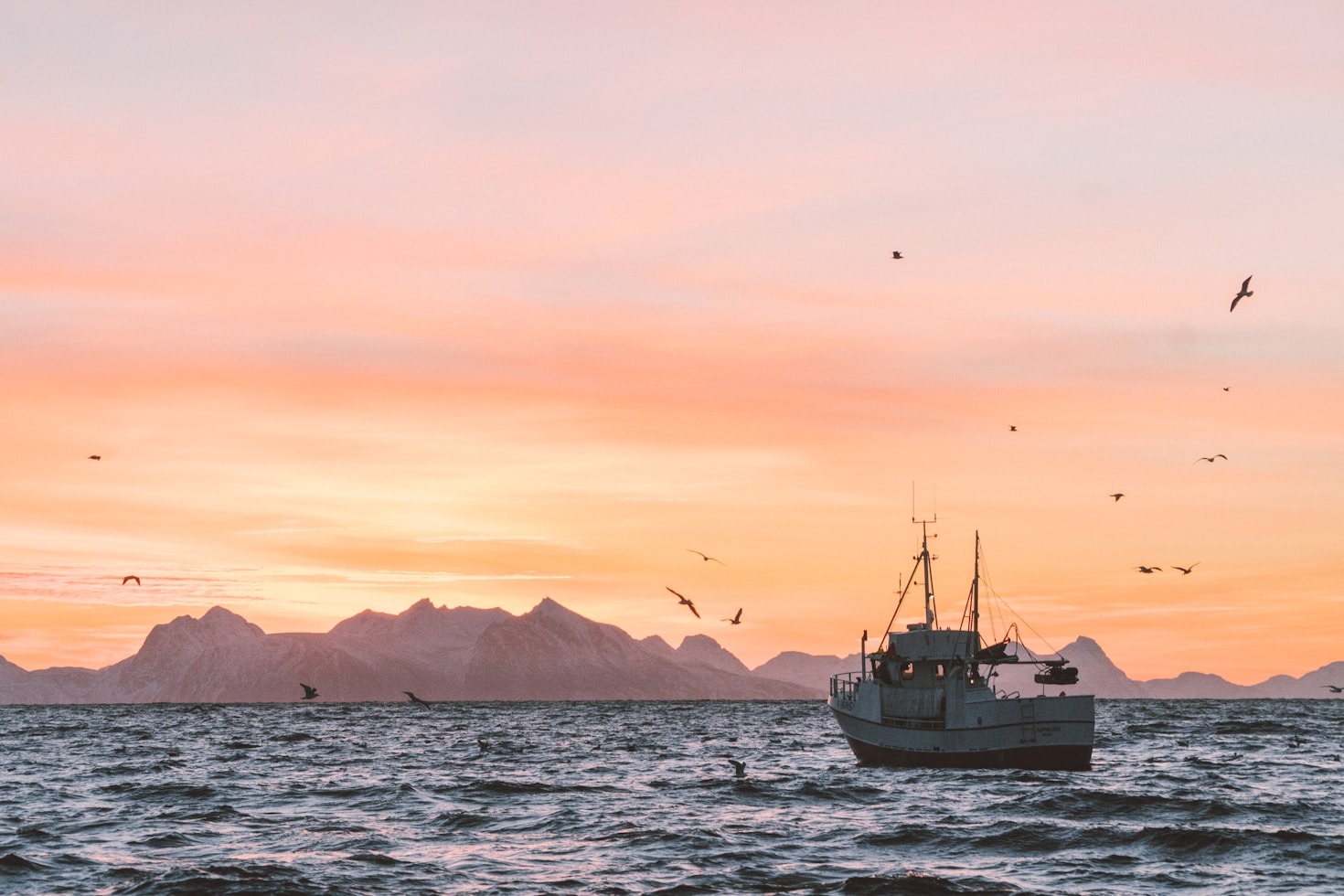 Behind the Scenes of Sustainable Fishing Practices