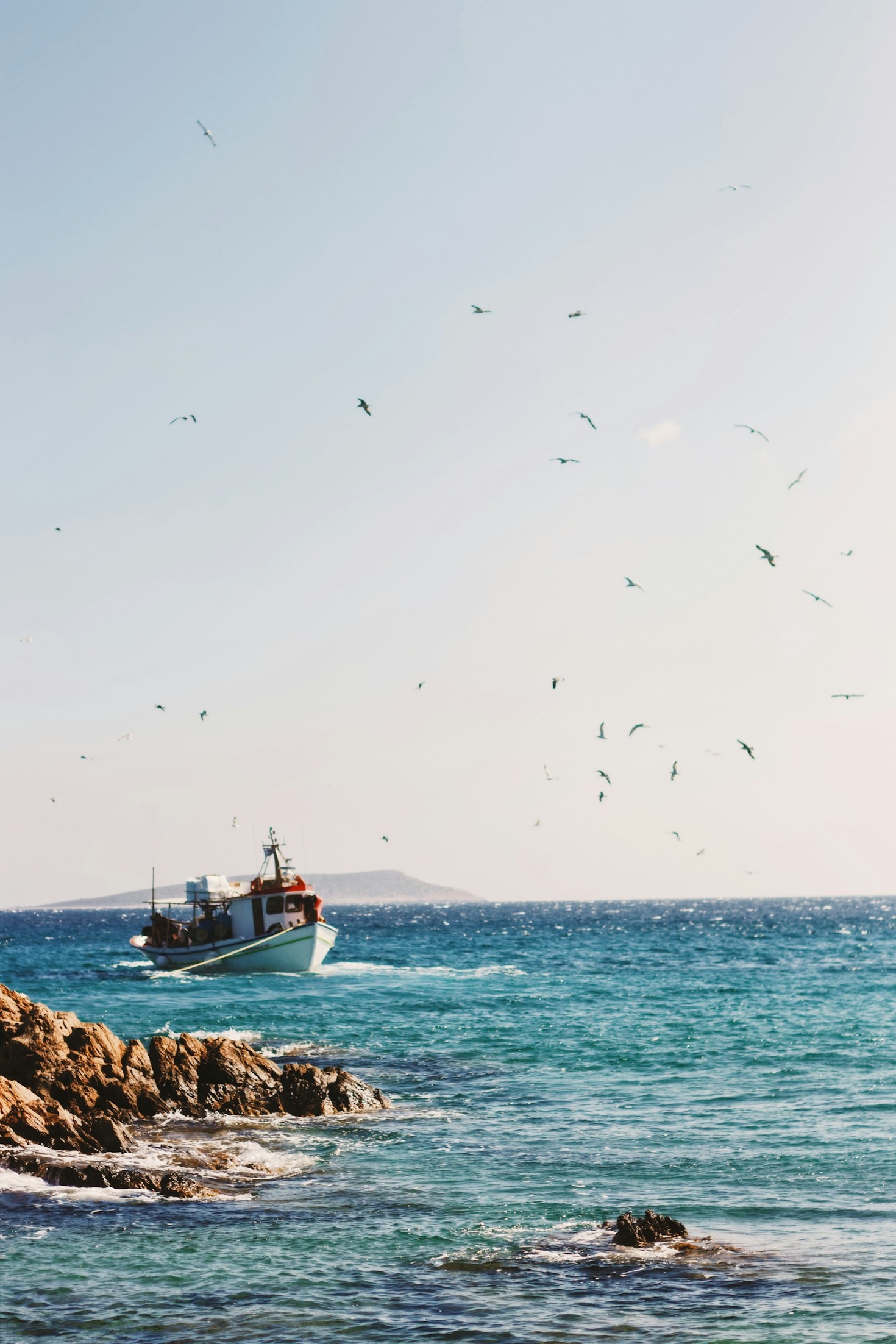 How SYL Supports Sustainable and Quality Seafood